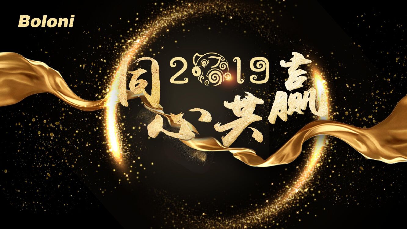 Boloni博洛尼年会方案_第6页