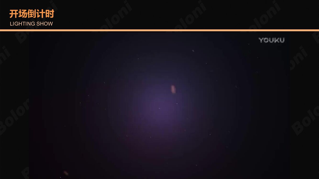 Boloni博洛尼年会方案_第9页