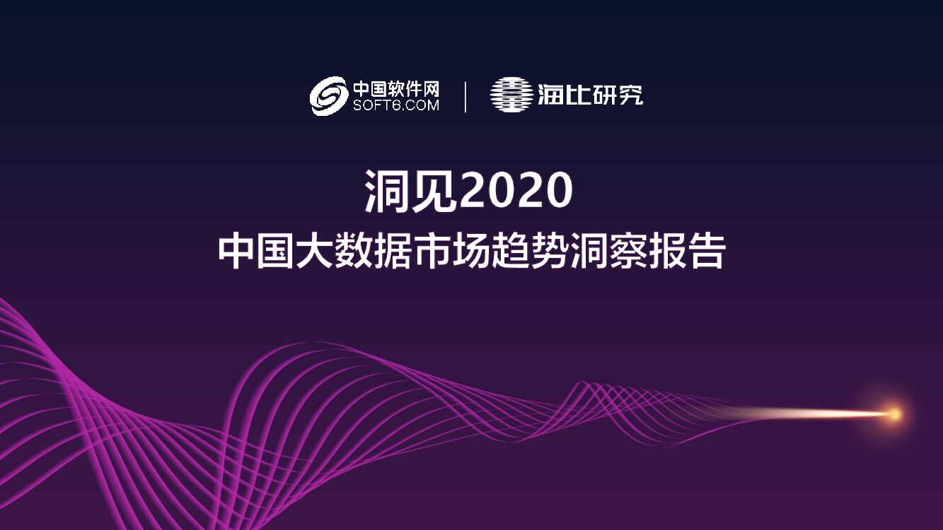 海比研究院：洞见2020——中国大数据市场趋势洞察报告
