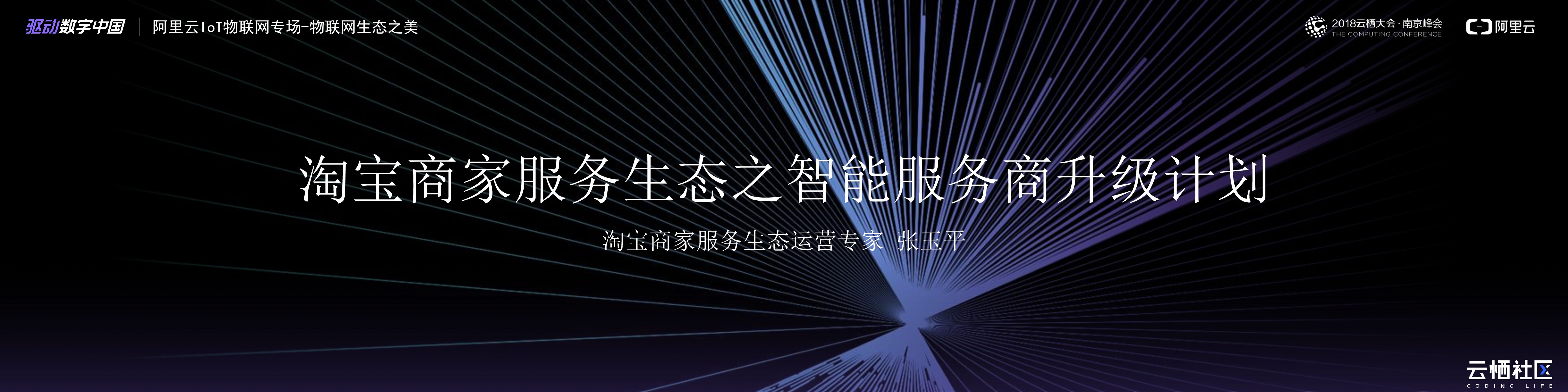 阿里云：淘宝商家服务生态之智能服务商升级计划