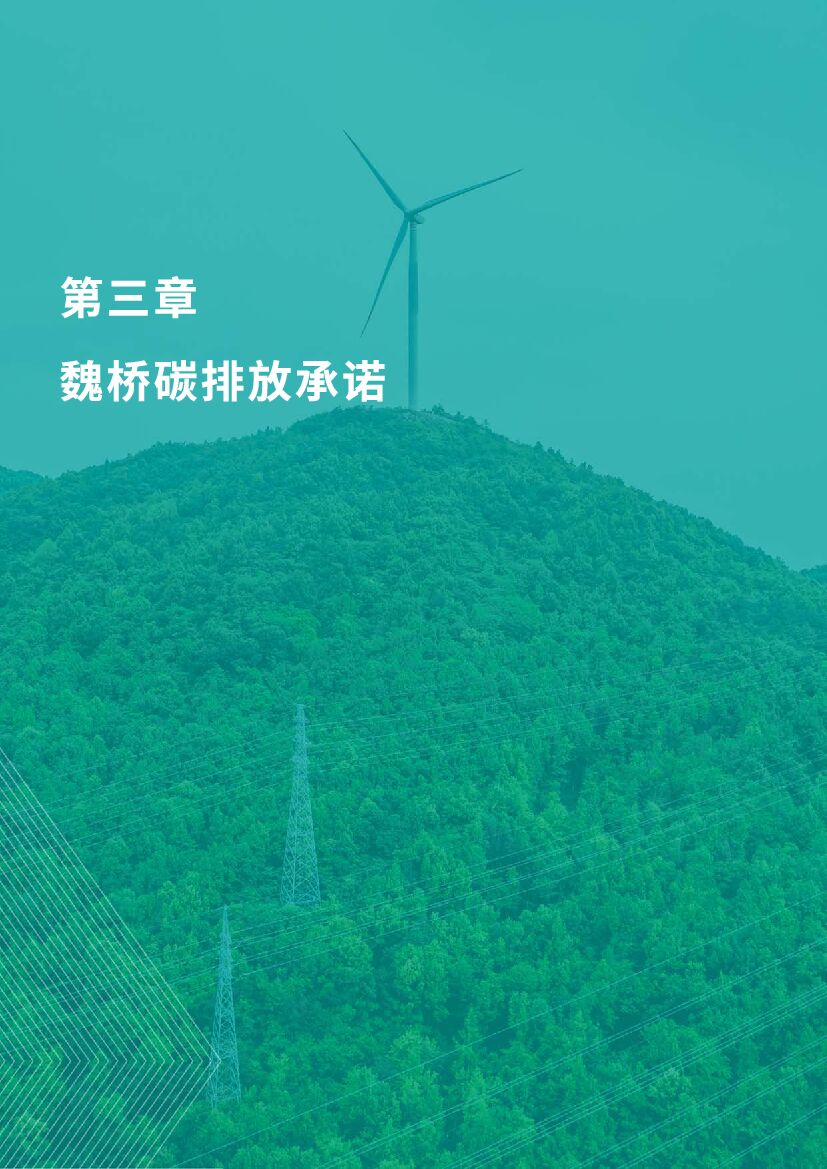 魏桥创业集团碳中和目标及行动报告_第10页
