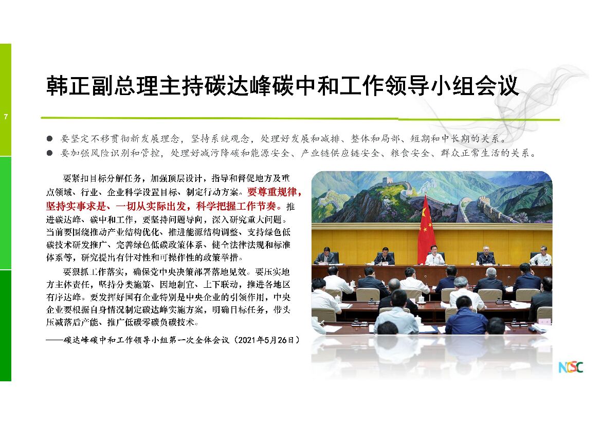 柴麒敏：我国碳达峰碳中和战略及能源相关政策展望_第7页