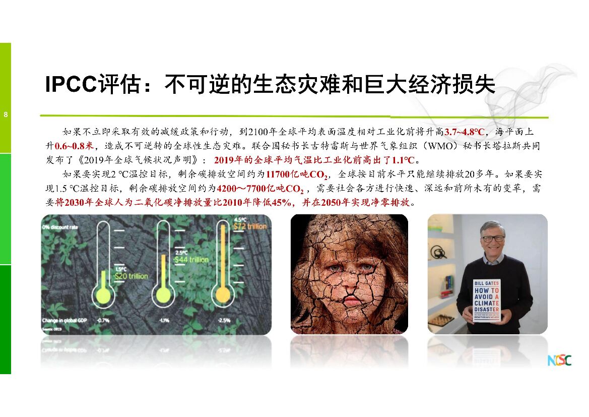 柴麒敏：我国碳达峰碳中和战略及能源相关政策展望_第8页