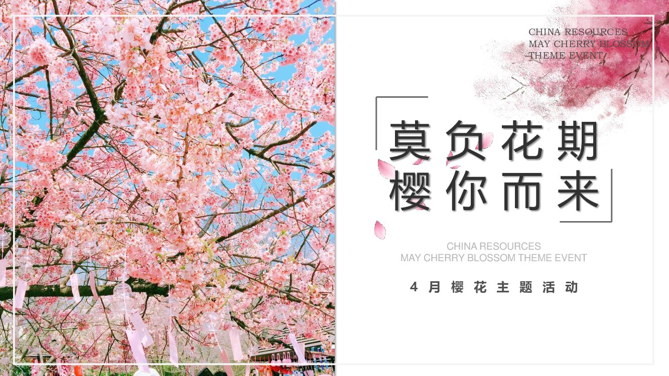 4月樱花主题活动方案