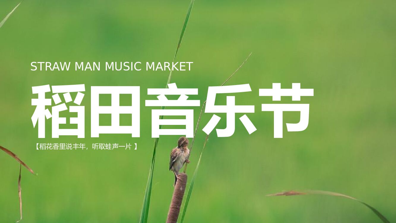 稻田音乐节活动策划方案