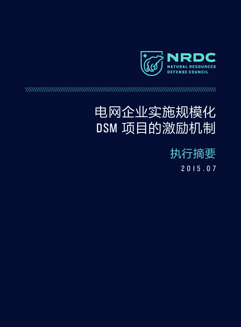 自然资源保护协会：电网企业实施规模化DSM项目的激励机制 （执行摘要）