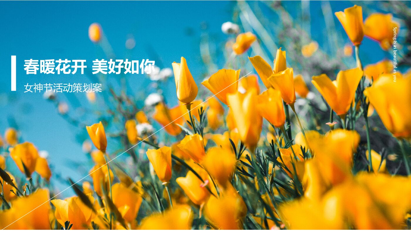 春暖花开美好如你女神节主题沙龙活动方案