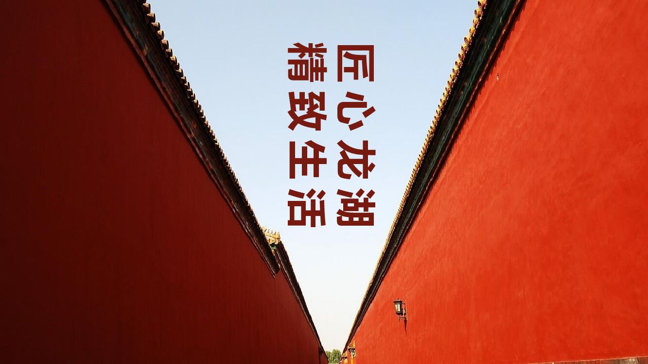 地产项目品牌暨案名发布会（匠心龙湖·精致生活主题）活动策划方案