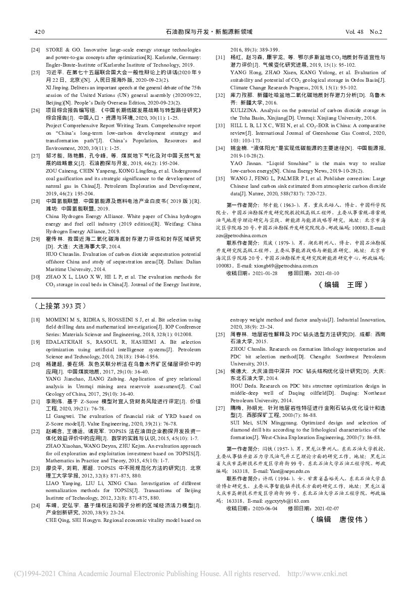 新能源在碳中和中的地位与作用_第10页