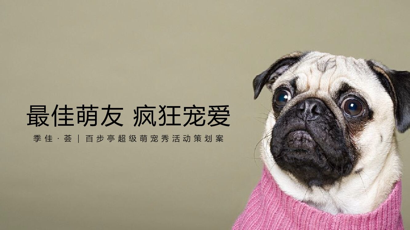 购物中心超级萌宠秀活动方案