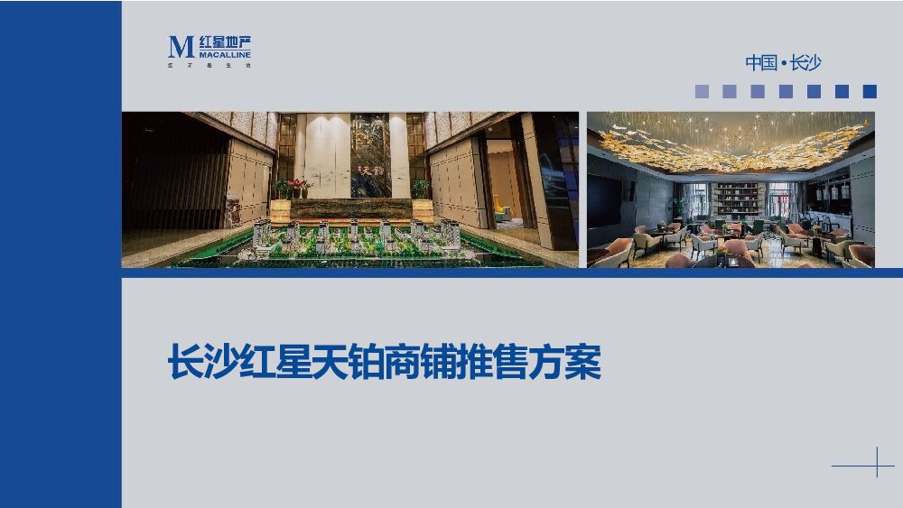 远洋长沙红星天铂商铺推售方案