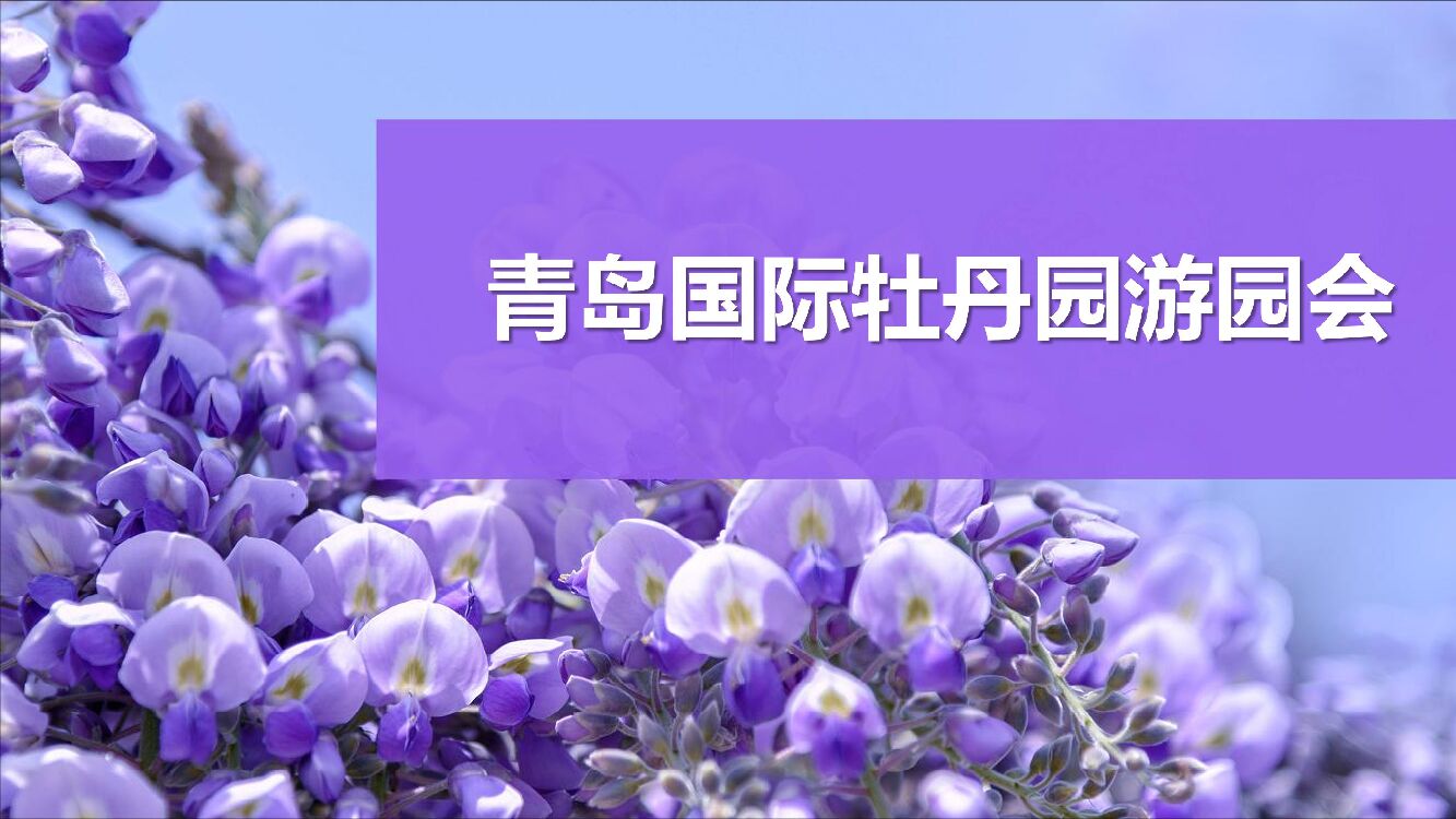 牡丹花海风铃游园活动方案