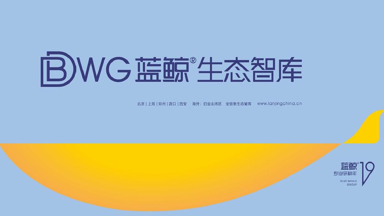 蓝鲸创意-驻马店世和府开盘前整合推广方案