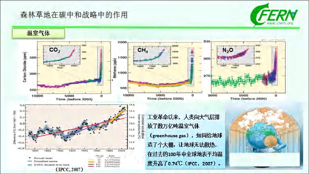 中国林业科学院：森林碳汇全口径 生态感知碳中和_第7页