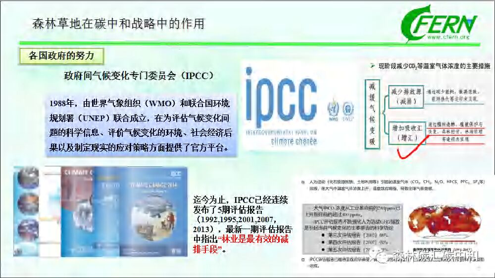 中国林业科学院：森林碳汇全口径 生态感知碳中和_第10页