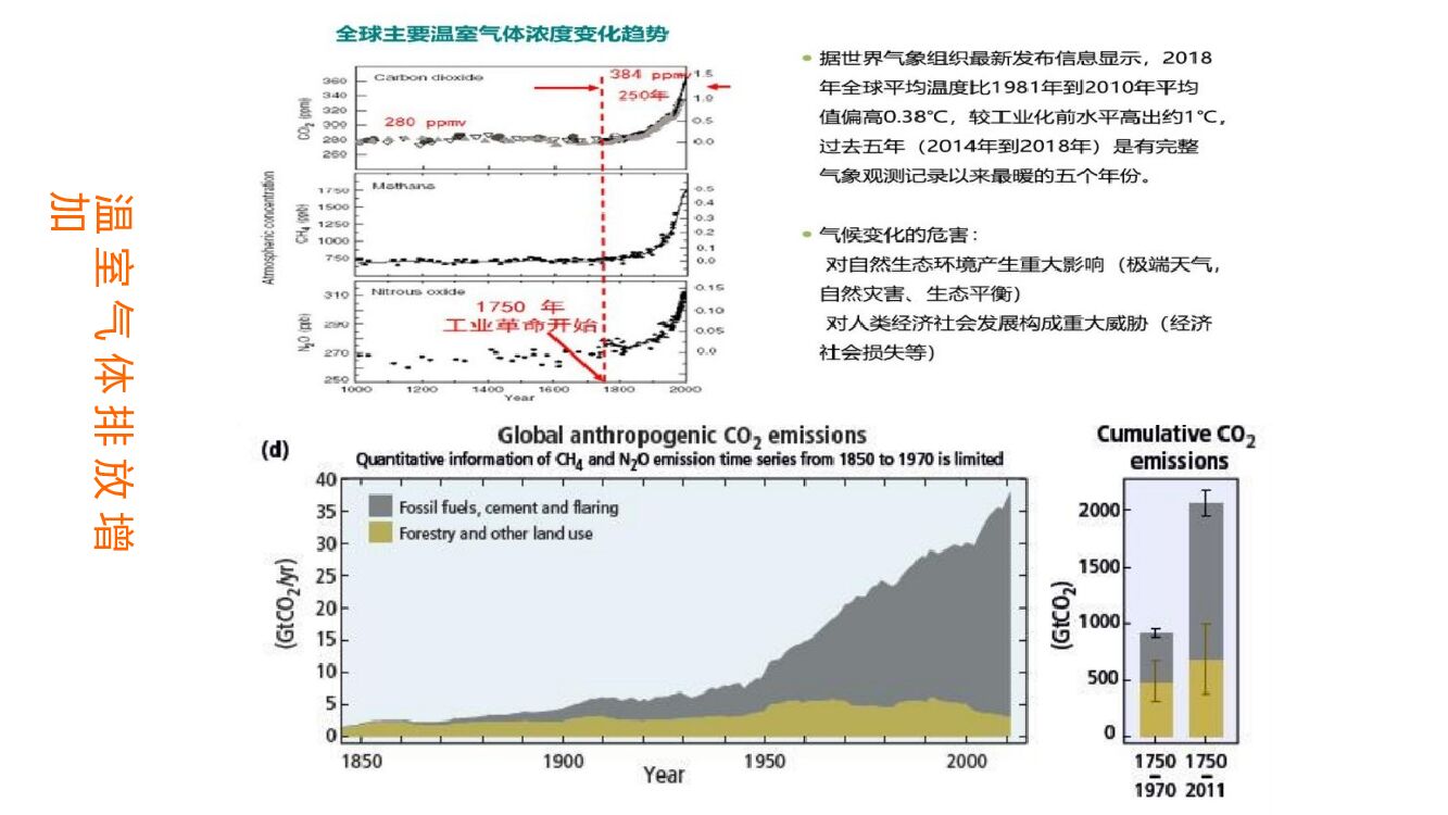 中国林科院：碳达峰碳中和背景下林业应对气候变化及林业碳汇项目开发_第6页