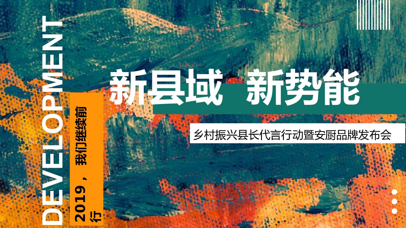 乡村振兴县长代言行动暨安厨品牌发布会活动策划方案