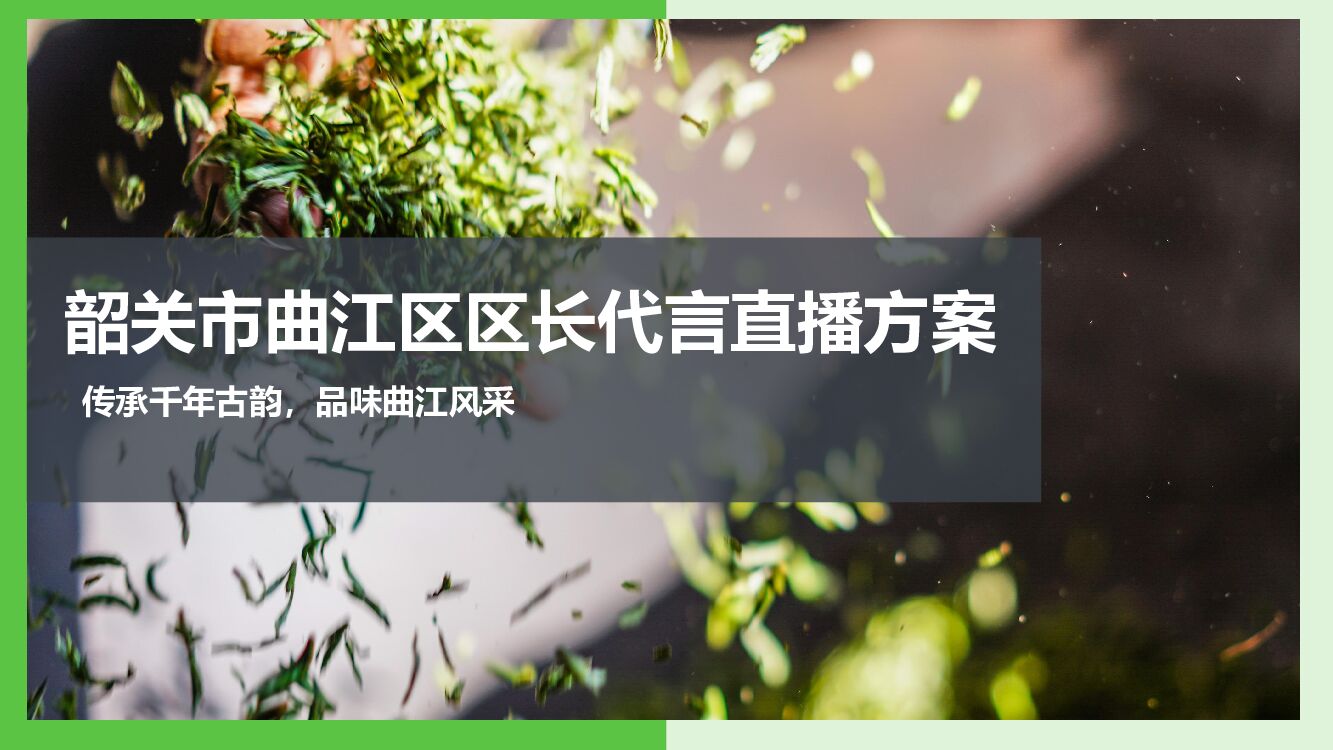 韶关区长代言直播活动策划方案