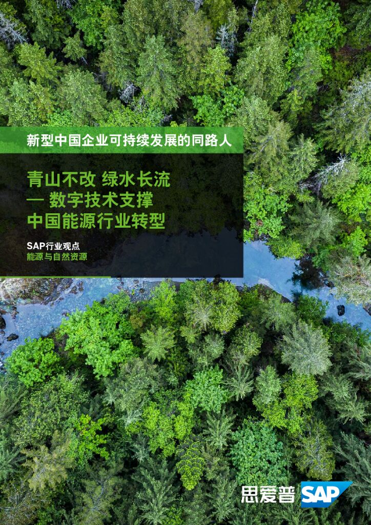 思爱普：青山不改 绿水长流——数字技术支撑中国能源行业转型