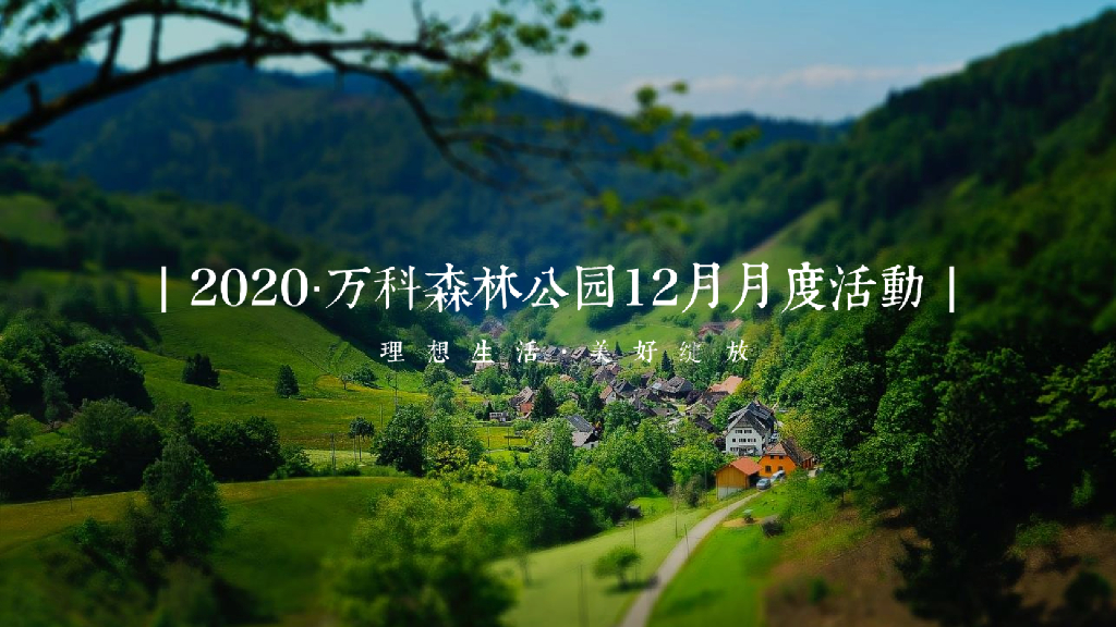 万科地产项目森林公园主题12月月度系列造势活动策划方案