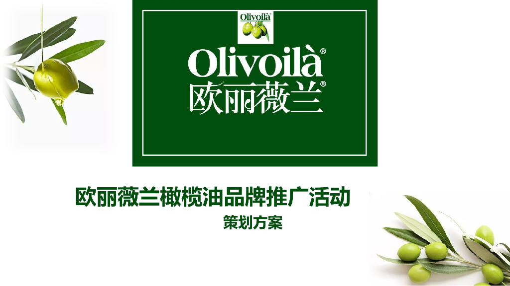 百货欧丽薇兰橄榄油品牌地推暖场活动策划案
