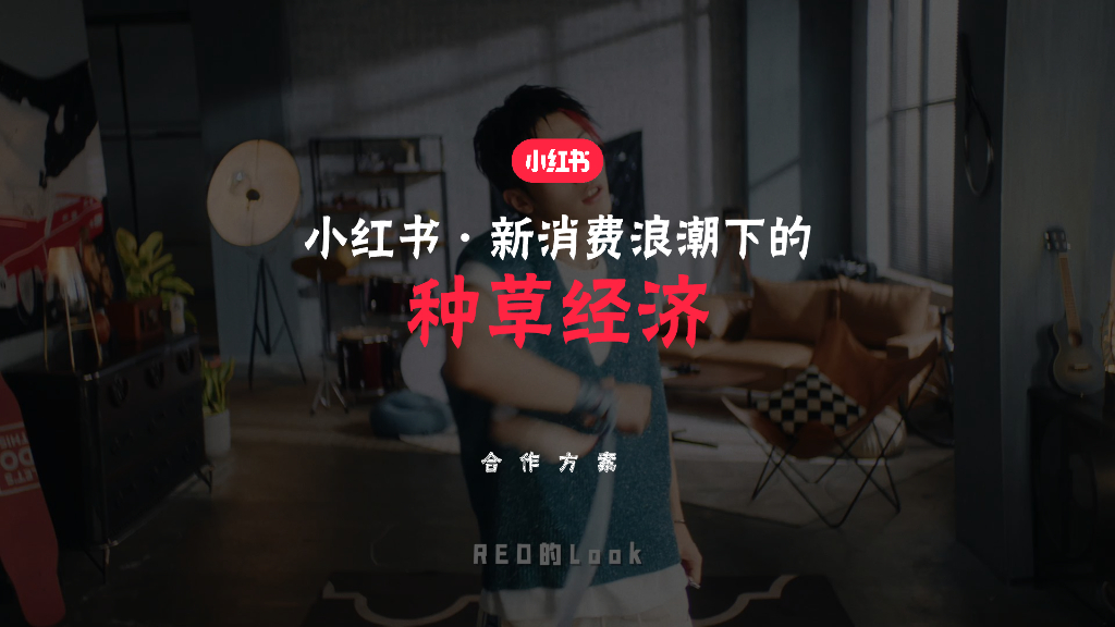 小红书：小红书·新消费浪潮下的种草经济