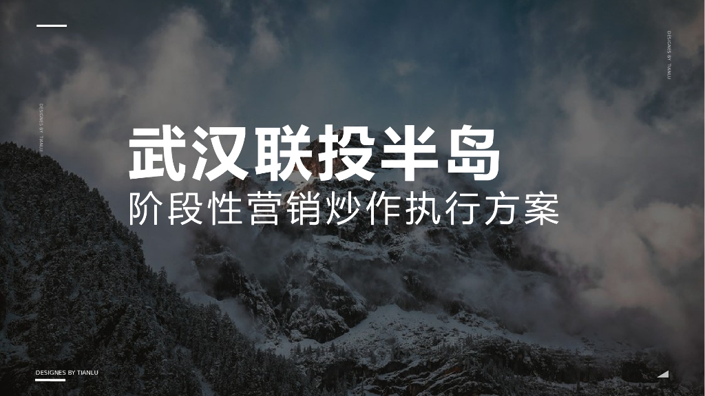 联投半岛阶段炒作公益执行方案
