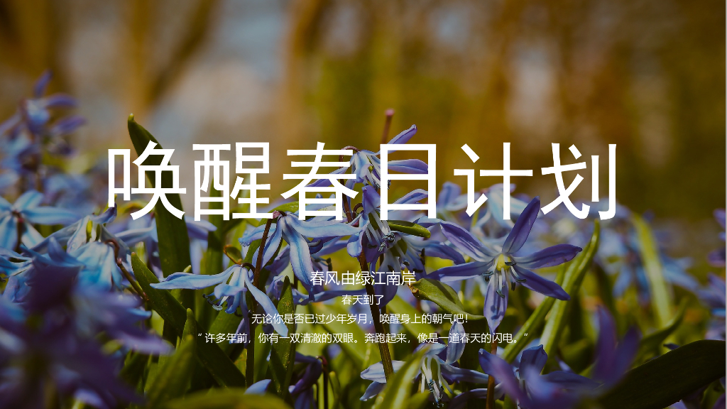 地产项目春季三月月度系列暖场（唤醒春日计划主题）活动策划方案
