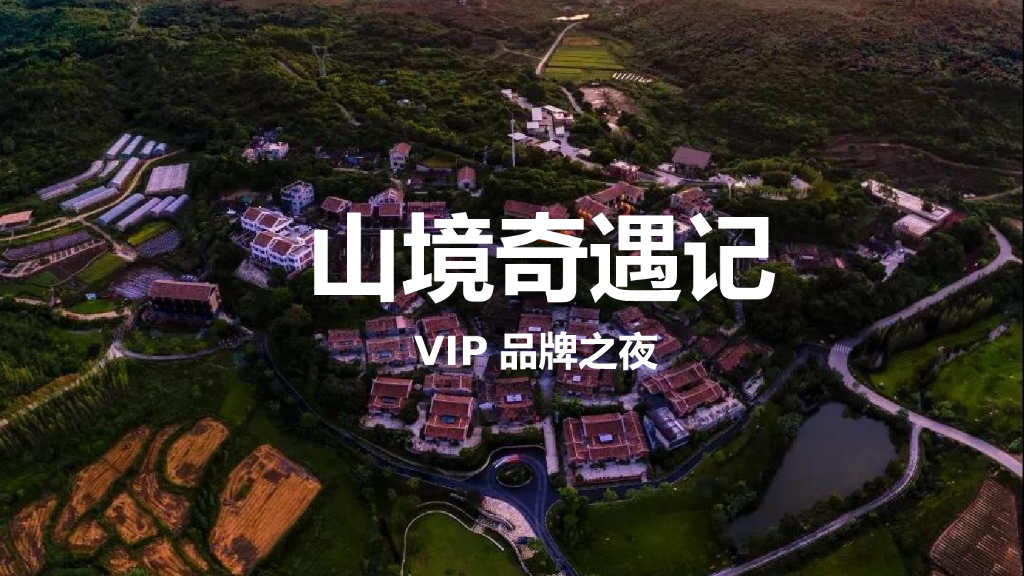 企业公司（山境奇遇记主题）VIP品牌之夜答谢活动策划方案