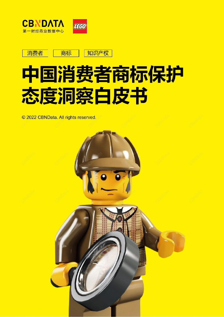 CBNData&乐高集团：中国消费者商标保护态度洞察白皮书