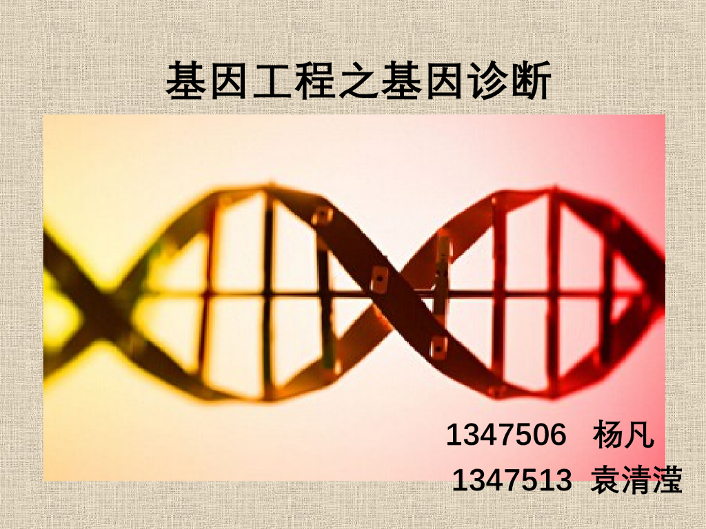 《药学的生物化学基础》基因工程之基因诊断