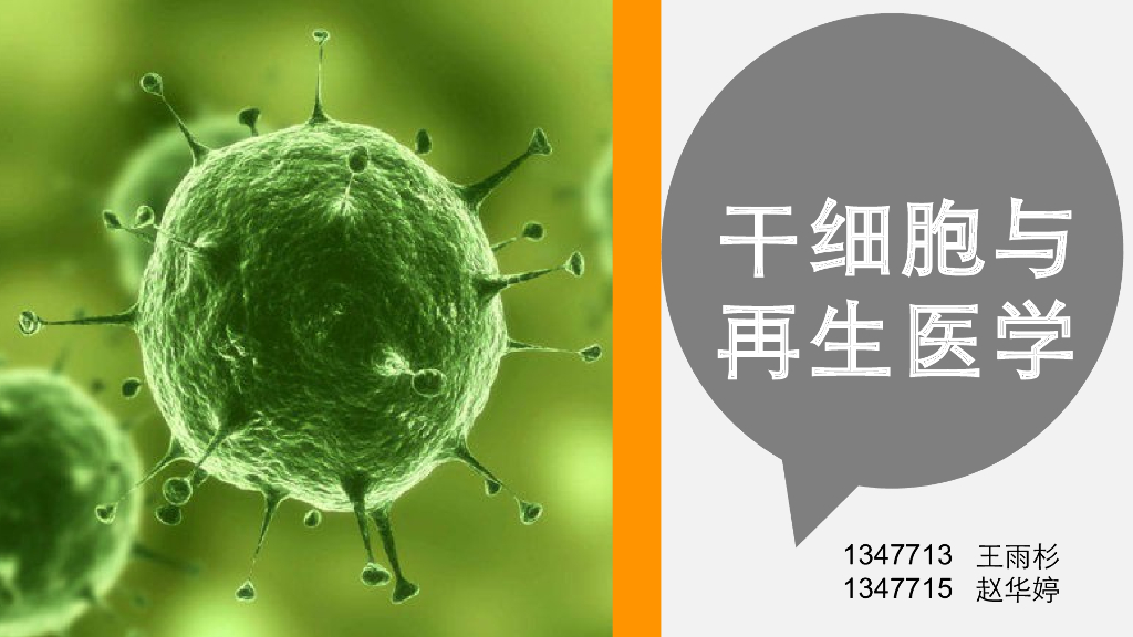 《药学的生物化学基础》干细胞与再生医学