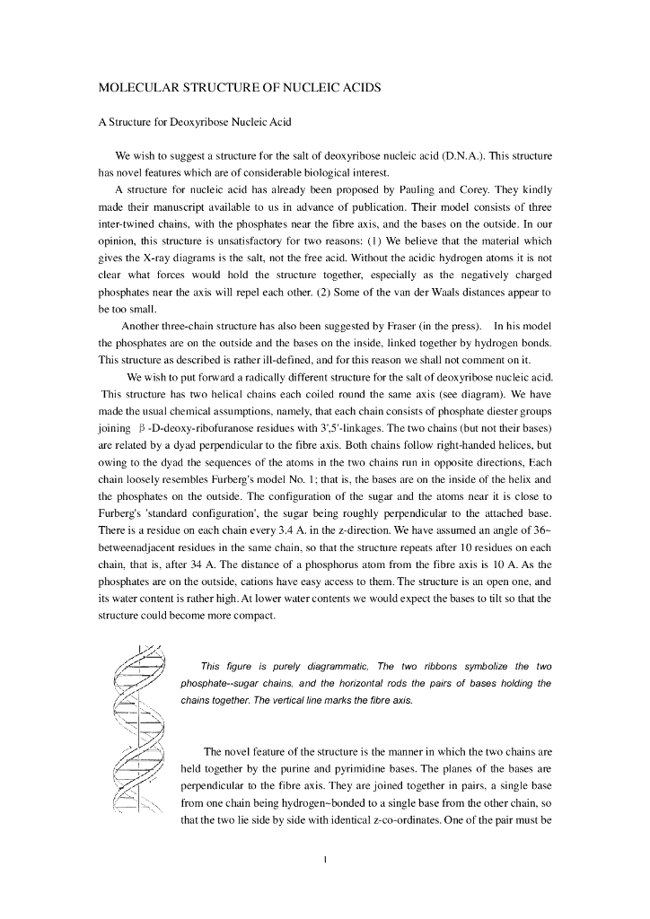《药学的生物化学基础》文献资料-DNA双螺旋结构发现的原始论文 from Nature 1953