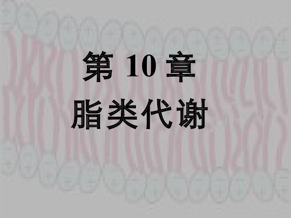《药学的生物化学基础》演示文稿-第10章 脂类代谢