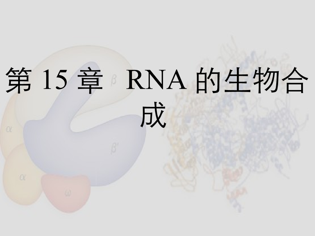 《药学的生物化学基础》演示文稿-第15章 RNA的生物合成