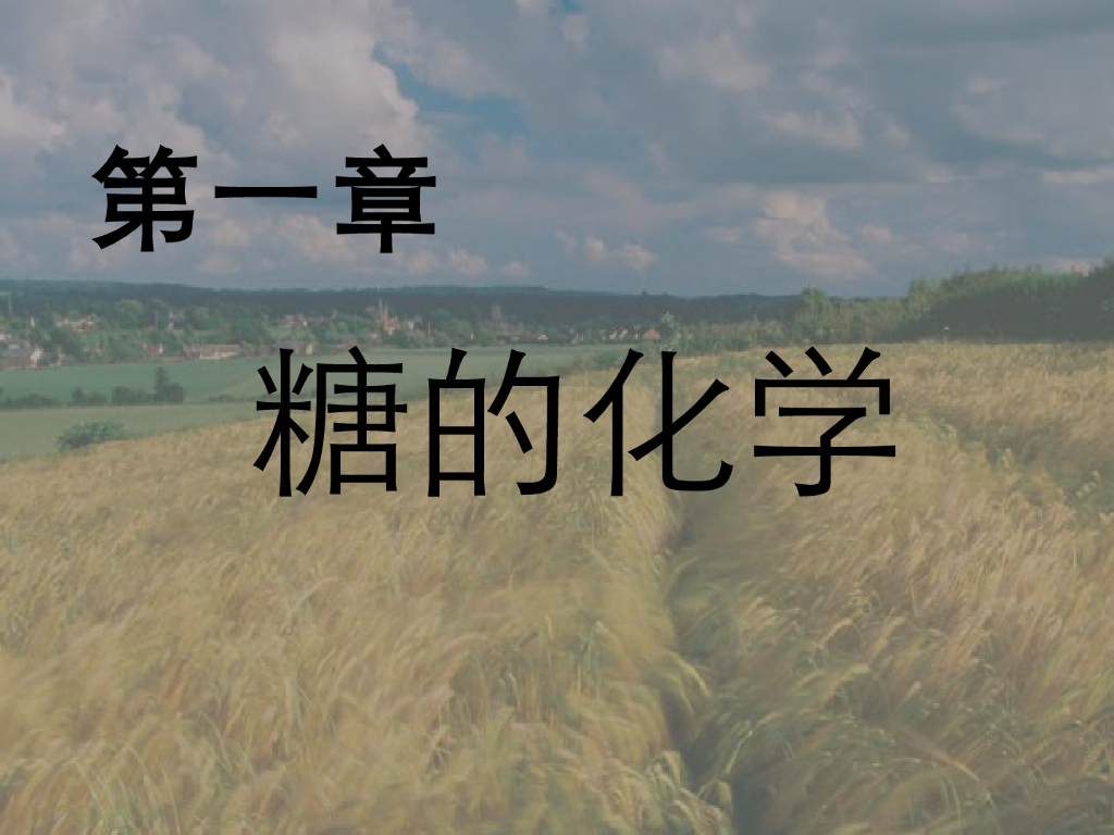 《药学的生物化学基础》演示文稿-第二章 糖的化学