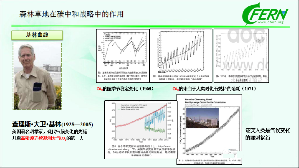 中国林业科学院：森林碳汇全口径，生态感知碳中和_第6页