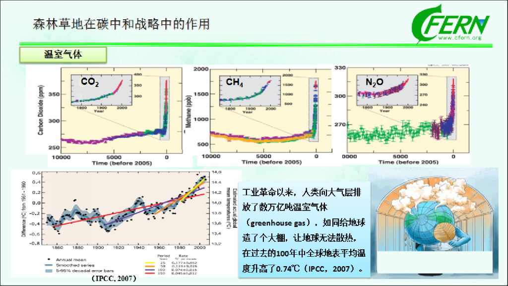 中国林业科学院：森林碳汇全口径，生态感知碳中和_第7页