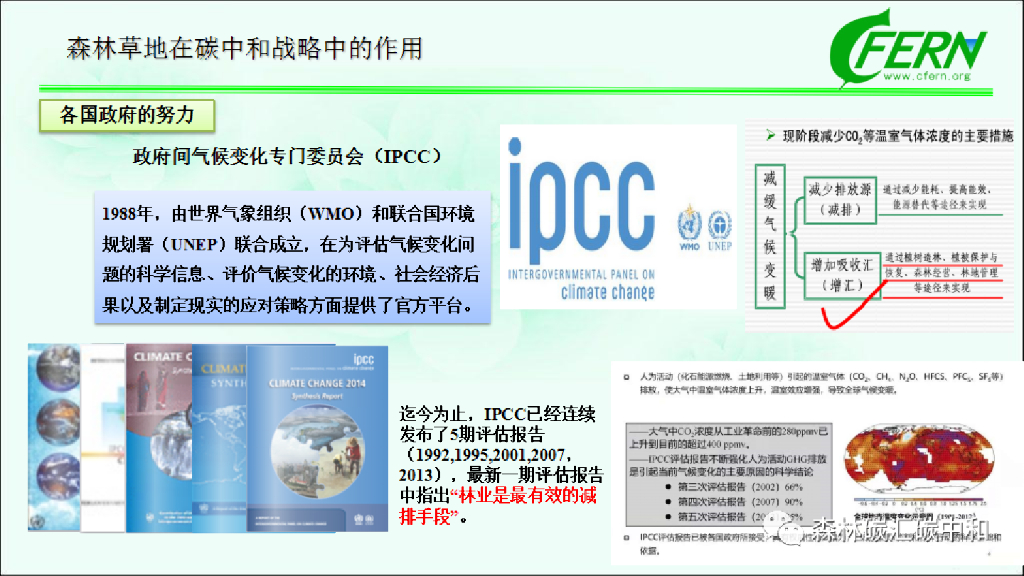 中国林业科学院：森林碳汇全口径，生态感知碳中和_第10页