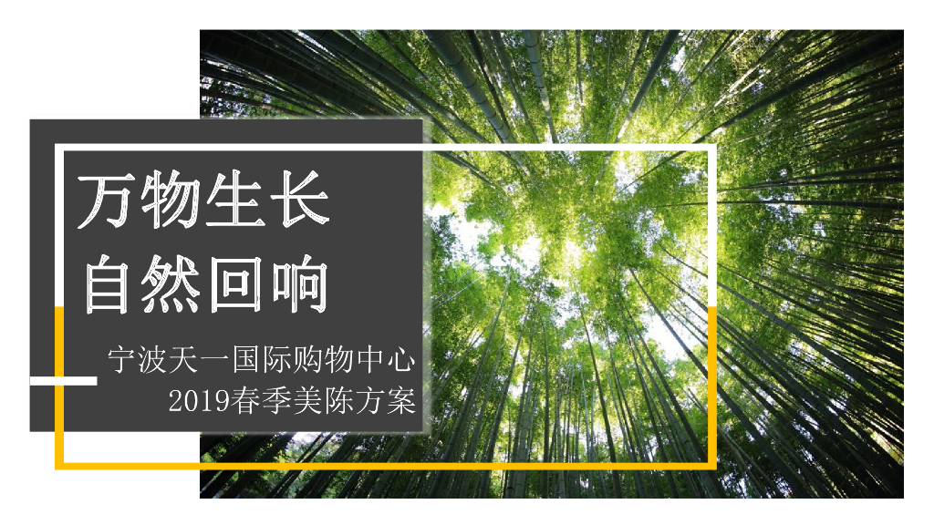 宁波国际购物中心春季美陈方案