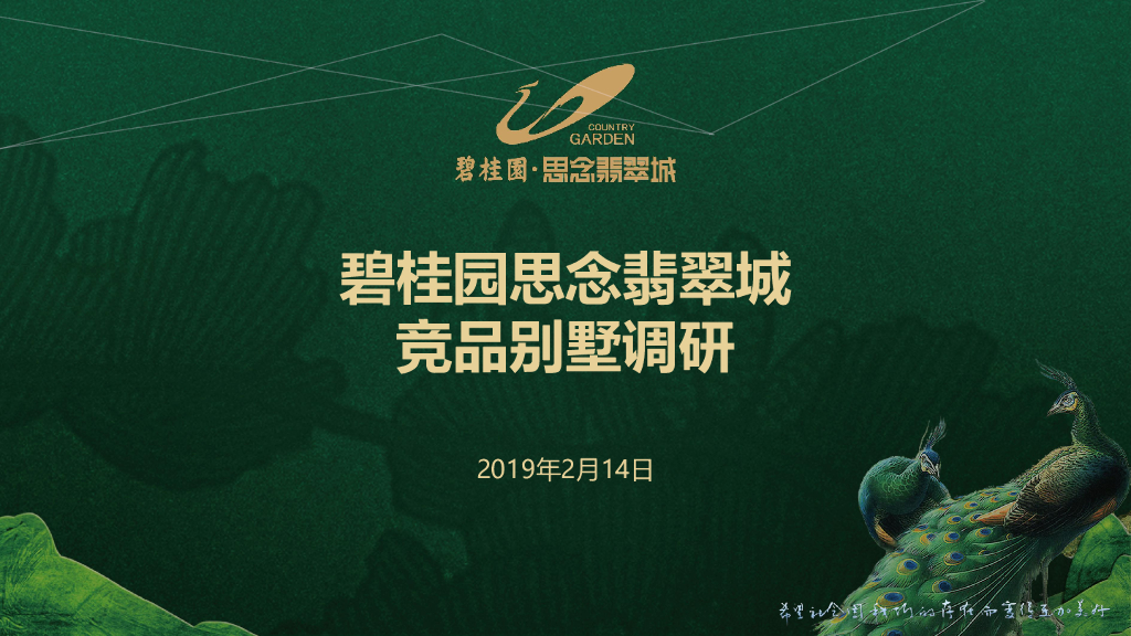 2019郑州碧桂园思念翡翠城别墅调研报告
