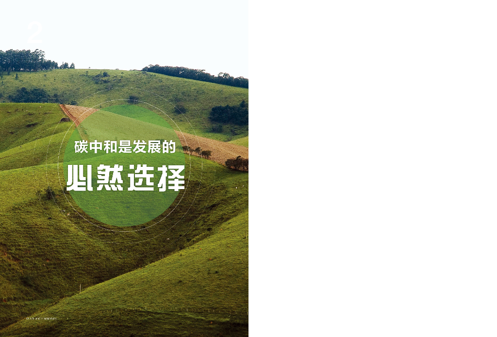 中创碳投：企业碳中和手册_第6页