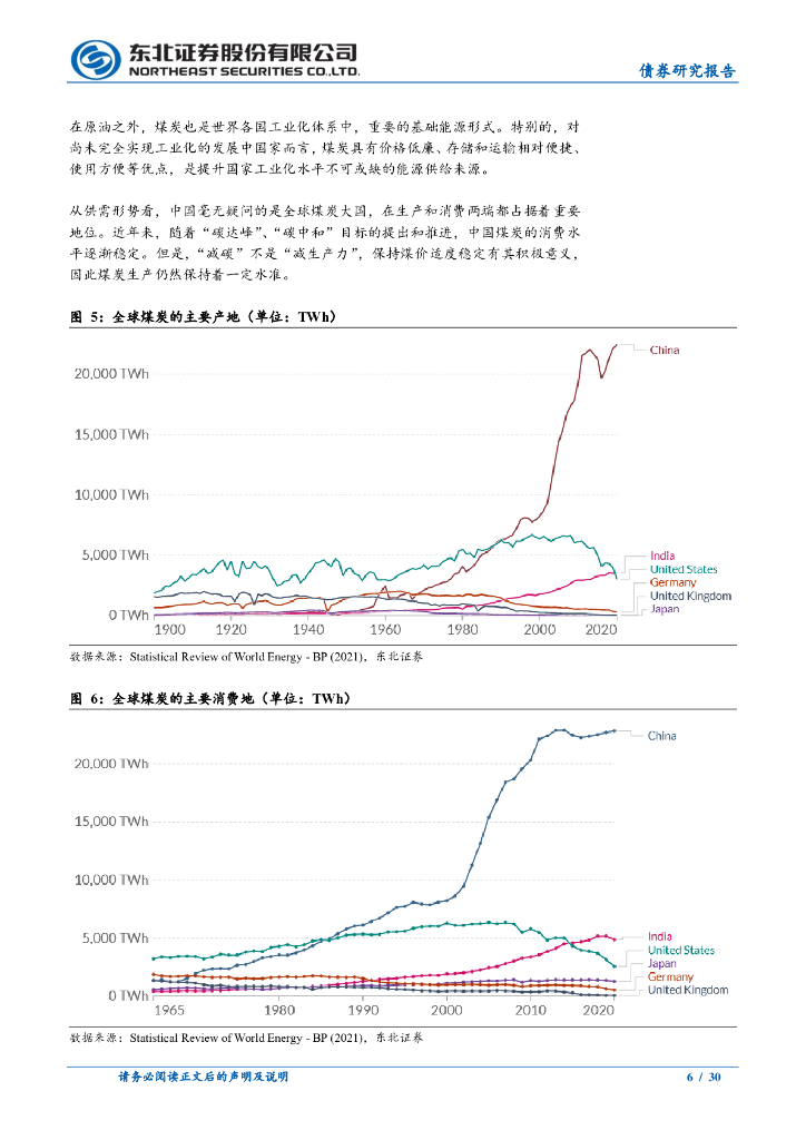 东北证券：碳中和之路(一)：全球能源演化史_第6页