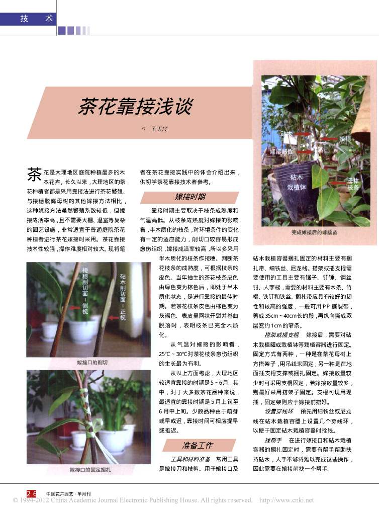 《园林植物栽培技术》茶花靠接浅谈