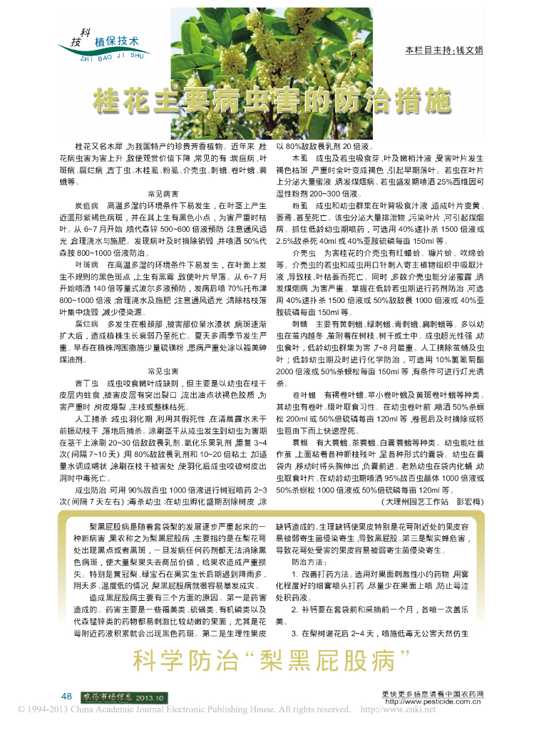 《园林植物栽培技术》桂花主要病虫害的防治措施_彭宏梅