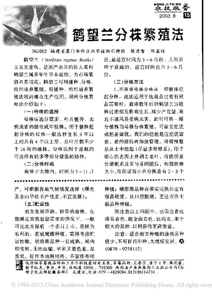 《园林植物栽培技术》鹤望兰分株繁殖法