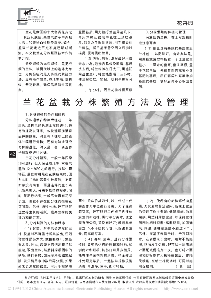 《园林植物栽培技术》兰花盆栽分株繁殖方法及管理
