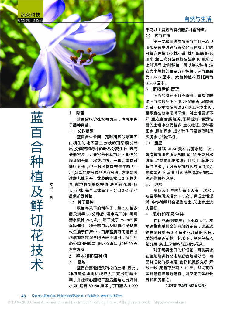 《园林植物栽培技术》蓝百合种植及鲜切花技术