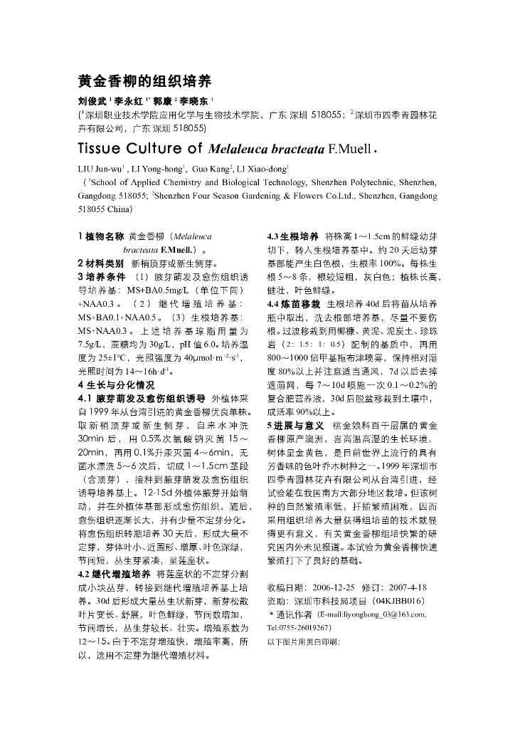 《园林植物栽培技术》黄金香柳的组织培养