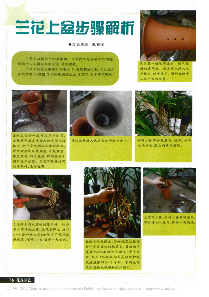 《园林植物栽培技术》兰花上盆步骤解析